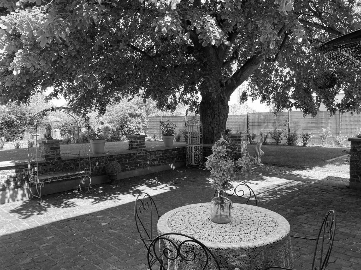 La Villa Des Roses - Suite & Spa Lys-lez-Lannoy Exterior photo